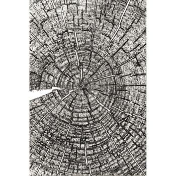 Sizzix - 3D Prägefolder "Tree Rings" Embossing Folder Design by Tim Holtz