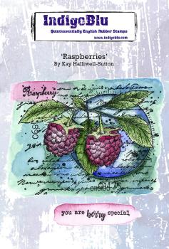 IndigoBlu - Gummistempel Set "Raspberries" A6 Rubber Stamp