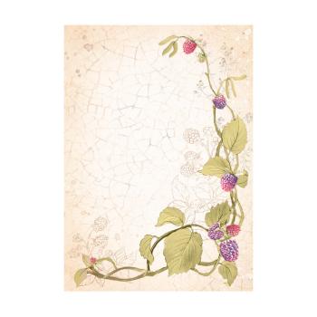 Stamperia - Decopatch Papier "Backgrounds" Decoupage A6 - 8 Bogen  