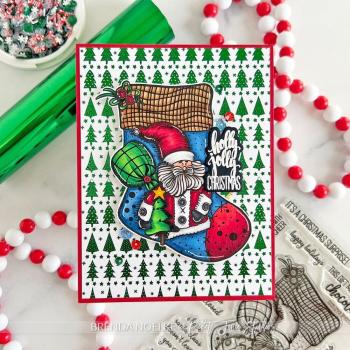 Picket Fence Studios - Stempelset "Stocking Full of Coal" Clear stamps