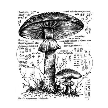 Crafty Individuals - Gummistempel "Counting Toadstools" Unmounted Rubber Stamps 