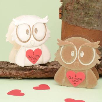 Nellie Snellen - Stanzschablone "Giftbox Owl" Shape Dies