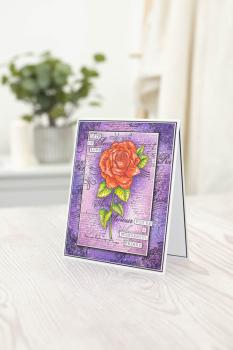 Crafters Companion - Stempel & Schablone "Romantic Rose" Clear Stamps & Stencil