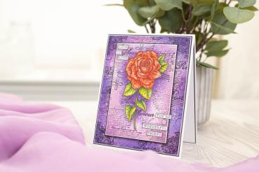 Crafters Companion - Stempel & Schablone "Romantic Rose" Clear Stamps & Stencil