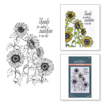 Spellbinders - Buchdrucktechnik "Sunflower Field" Press Plate