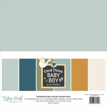 Echo Park - Komplettpaket "Special Delivery Baby Boy" Mega Bundle