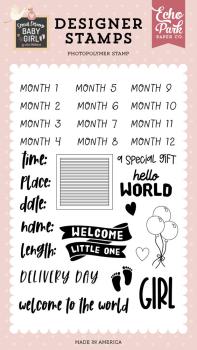 Echo Park - Stempelset "Baby Girl Stats Clear" Clear Stamps