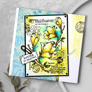 Woodware - Stempel "Spring Magnolia" Clear Stamps Design by Francoise Read