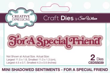 Creative Expressions - Stanzschablone "For A Special Friend" Shadowed Sentiments Dies Mini Design by Sue Wilson