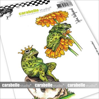 Carabelle Studio - Gummistempelset "Le royaume des grenouilles" Cling Stamp