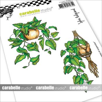Carabelle Studio - Gummistempelset "Plantes vertes et suspension" Cling Stamp