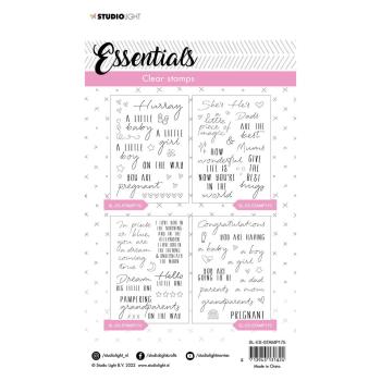 Studio Light - Stempelset "Congratulations sentiments" Clear Stamps