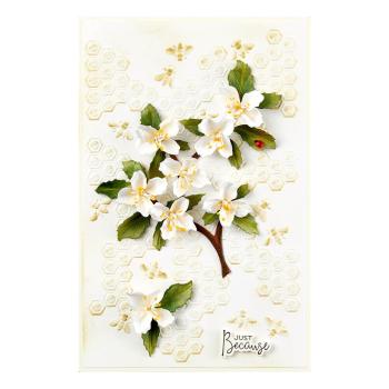 Spellbinders - Stanzschablone "Mock Orange" Dies