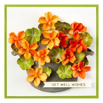 Spellbinders - Stanzschablone "Nasturtium and Galvanized Wash Bucket" Dies