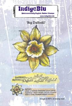 IndigoBlu - Gummistempel Set "Big Daffodil" A6 Rubber Stamp