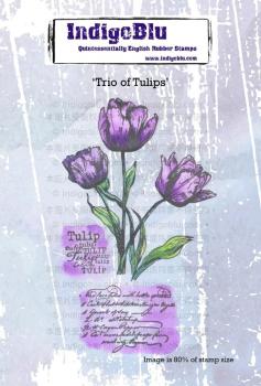 IndigoBlu - Gummistempel Set "Trio of Tulips" A6 Rubber Stamp