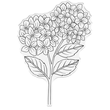 Crafters Companion - Stempel "Hydrangea" Clear Stamps