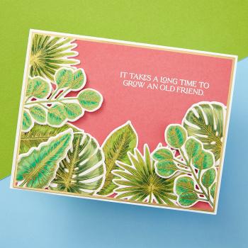 Spellbinders - Press Plate & Dies "Tropical Leaves"