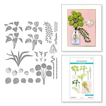 Spellbinders - Stanzschablone "Propagated Plants" Dies