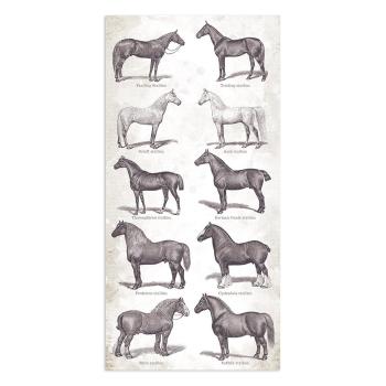 Stamperia - Designpapier "Romantic Horses" Paper Pack 6x12 Inch - 10 Bogen