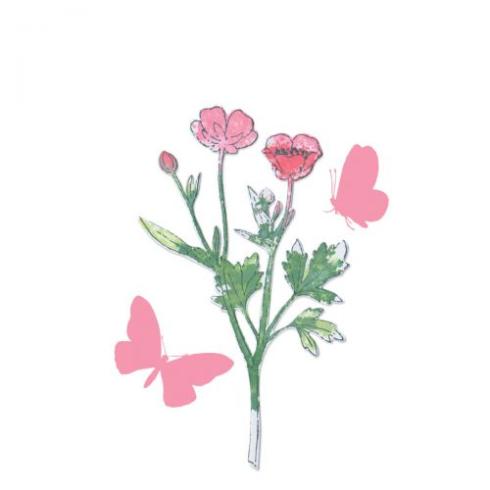Sizzix - Stanzschablone & Stempelset "Painted Pencil Botanical" Framelits Craft Dies & Clear Stamps by 49 and Market