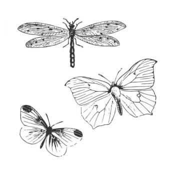 Sizzix - Stanzschablone & Stempelset "Engraved Wings" Framelits Craft Dies & Clear Stamps by 49 and Market