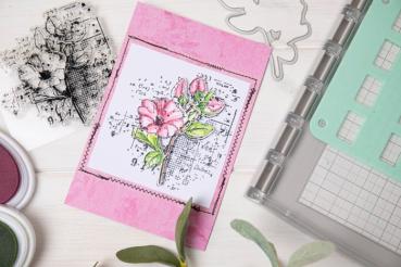 Sizzix - Stanzschablone & Stempelset "Floral Mix Cluster" Framelits Craft Dies & Clear Stamps by 49 and Market