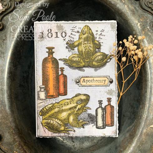 Creative Expressions - Stempelset "Halloween Frogs" Clear Stamps 6x8 Inch Design by Sam Poole