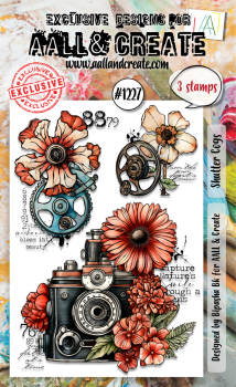 AALL and Create - Stempelset A6 "Shutter Cogs" Clear Stamps