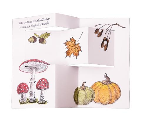 Studio Light - Stempelset "Mushrooms" Clear Stamps