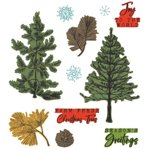 Sizzix - Stanzschablone & Stempelset "Pine Holidays" Framelits Craft Dies & Clear Stamps by 49 and Market