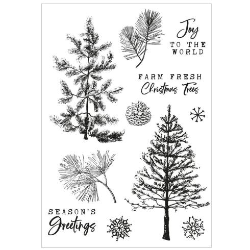 Sizzix - Stanzschablone & Stempelset "Pine Holidays" Framelits Craft Dies & Clear Stamps by 49 and Market