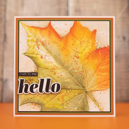 Crafters Companion - Stempelset & Stanzschablone "Hello" Stamp & Dies