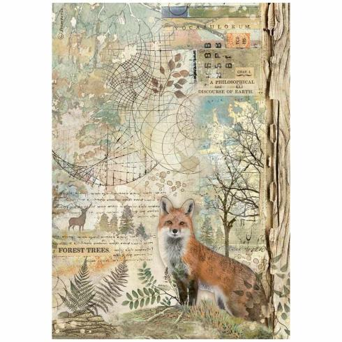 Stamperia - Decopatch Papier "Fox" Decoupage A4 - 6 Bogen  