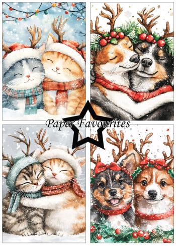 Paper Favourites - Designpapier "Christmas Cats & Dogs" Paper Pack A5 - 24 Bogen