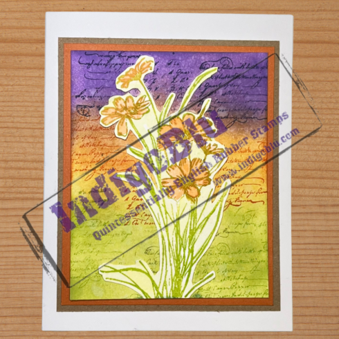 IndigoBlu - Gummistempel Set "Gerbera" A6 Rubber Stamp