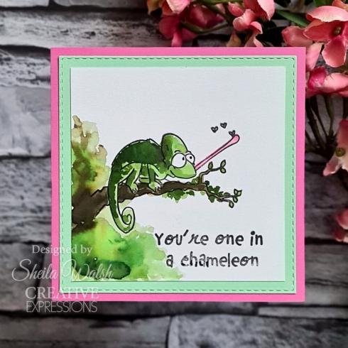 Creative Expressions - Stempelset "One In a Chameleon" Clear Stamps 15,2x20,3cm