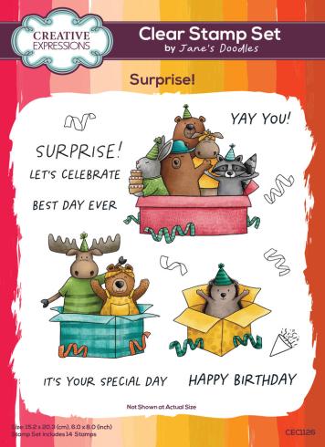 Creative Expressions - Stempelset "Surprise!" Clear Stamps 15,2x20,3cm Design by Jane's Doodles