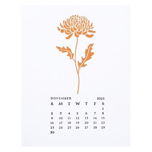 Spellbinders - Buchdrucktechnik "November Chrysanthemum" BetterPress Plate