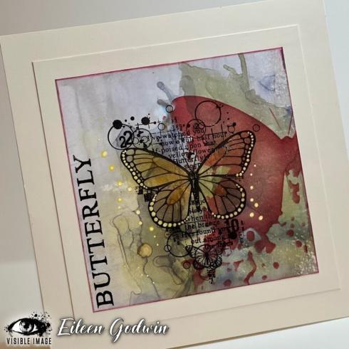 Visible Image - Stempelset A6 "Antisocial Butterfly" Clear Stamps