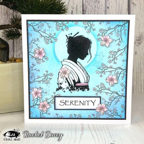 Visible Image - Stempelset A6 "Calm Over Chaos" Clear Stamps