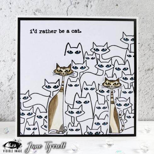 Visible Image - Stempelset A6 "Cat-tastic Background" Clear Stamps