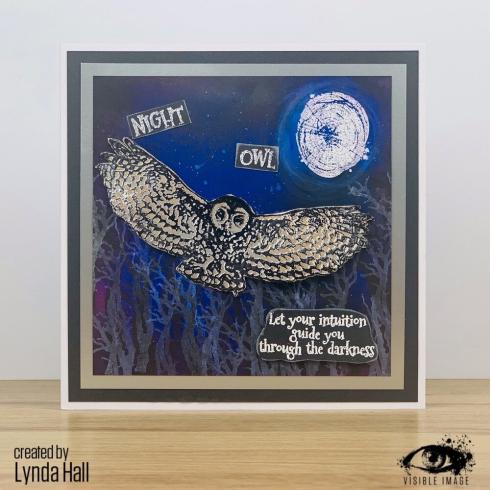 Visible Image - Stempelset A6 "Night Owl" Clear Stamps