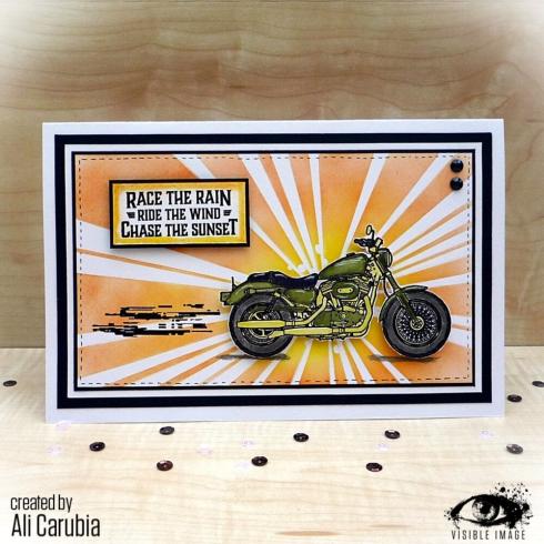 Visible Image - Stempelset A6 "Ride The Wind" Clear Stamps