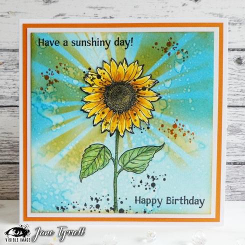 Visible Image - Stempelset A6 "Sunflower Grunge" Clear Stamps