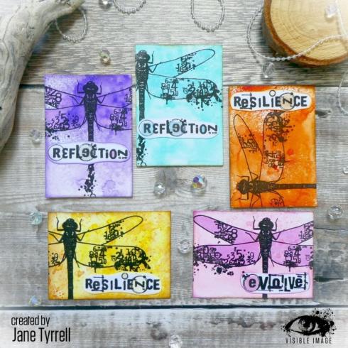 Visible Image - Stempelset A5 "Dragonfly Reflection" Clear Stamps