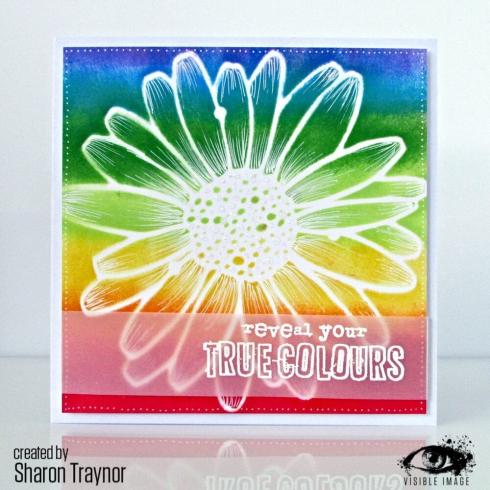 Visible Image - Schablone 6x6 Inch "Daisy Daisy" Stencil