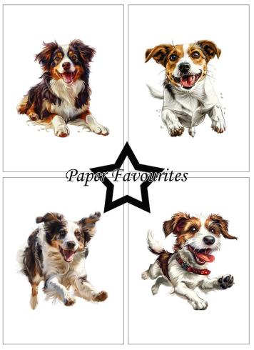 Paper Favourites - Designpapier "Farmdogs" Paper Pack A6 - 24 Bogen