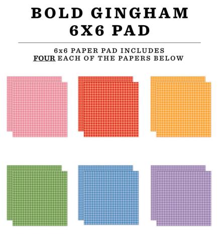 Echo Park - Designpapier "Bold Gingham" Paper Pack 6x6 Inch - 24 Bogen