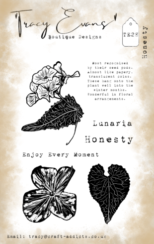 Tracy Evans - Stempelset "Honesty" Clear Stamps